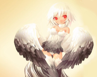 Angel wings white harpy red - a white angel free wallpaper