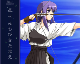 Purple hair archery woman blue - a bow and arrow free wallpaper for desktop