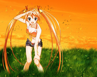 Girl field bird wind sunset - overhead in the sky free wallpaper