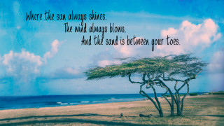 Tree beach sun quote jigsaw - a picture of a tree free wallpaper