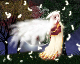 White hair dress falling feathers - white feather free wallpaper