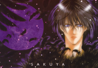 Anime moon bats purple background - bat free wallpaper