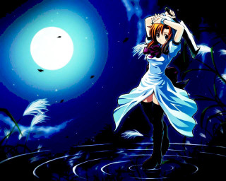 Woman water bird night moon - overhead in the sky free wallpaper