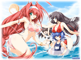Anime girls water cat raft - the back free wallpaper