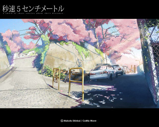 Car mural cherryblossoms street kyoto - the wall behind free wallpaper for desktop
