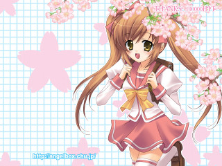 Girl pink umbrella flower anime - a pink umbrella free wallpaper