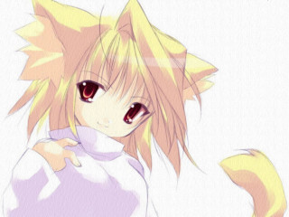 Anime cat ears yellow eyes - a cat ear free wallpaper