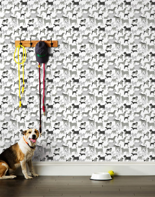 Dog sitting floor wall clock - free dogs wallpaper for mobile