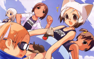 Anime group swimsuits cat ears - neogeo free wallpaper