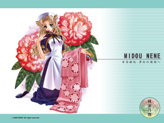 Woman white dress pink flower 2 - a pink umbrella free wallpaper