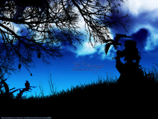 Silhouette bird field tree clouds - a tree in the background free wallpaper