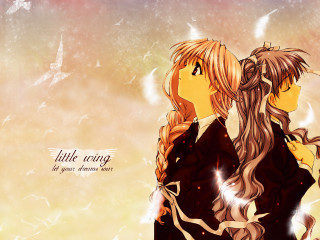 Anime girls longhair birds butterflies - little free wallpaper for desktop