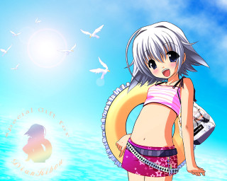Beach girl bikini bird horizon - above her free wallpaper