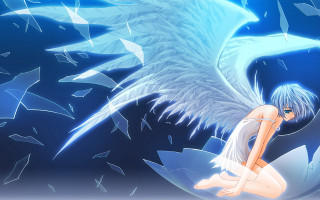 White haired angel woman blue - white feather free wallpaper
