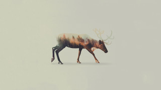 Colorful deer walking white background - a deer free wallpaper