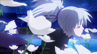 Whitehair man field flowers night - white hair free wallpaper