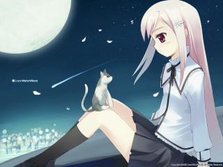 Pink hair girl cat moon - her lap free wallpaper