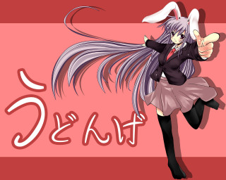 Alice prin dancing anime rabbit - a black jacket free wallpaper