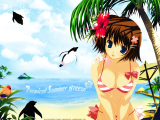 Beach girl bikini bird anime - a girl in a bikini free wallpaper
