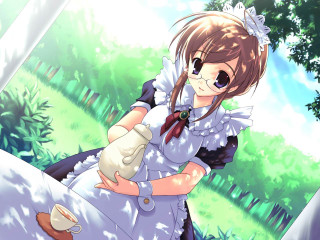 Woman dress gloves cat forest - her hand and a cat free wallpaper