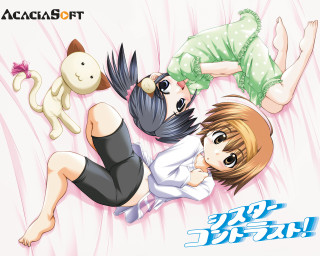 Anime couple bed cat dog - a cat and a dog free wallpaper