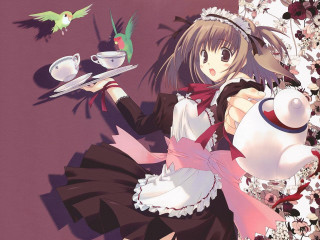 Alice prin maid bird tea - above her free wallpaper
