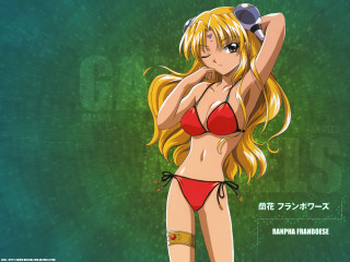 Cartoon bikini hat green background - anime free wallpaper