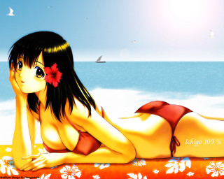 Woman beach bikini flower bird - over her head free wallpaper