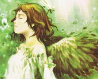 Angel wings water droplets bare - ayami kojima free wallpaper for desktop