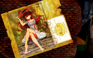 Girl hat long hair brick - a brick wall behind her free wallpaper