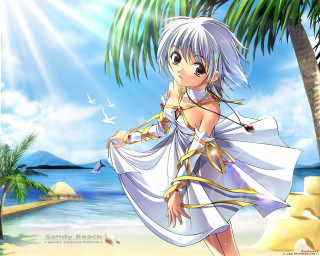 Woman beach white dress palm - a palm tree free wallpaper for desktop