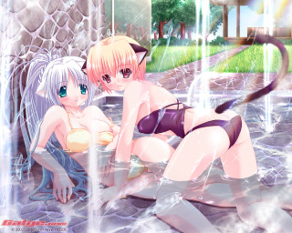 Anime girls bathing suits pool 2 - their shoulder free wallpaper