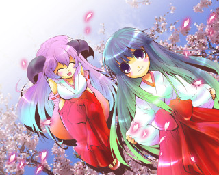 Anime girls cherry blossoms hakama - a tree free wallpaper