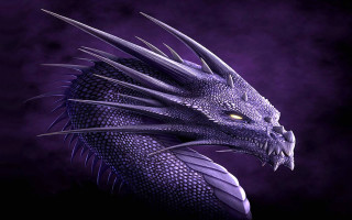Purple dragon yellow eyes sharp - sharp claw free wallpaper for desktop