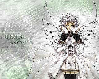 Anime whitehair wings greenbackground angel - analytical art free wallpaper