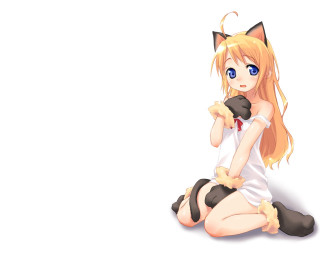 Anime girl cat ears blonde - a cat ear free wallpaper