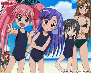 Beach girls palm trees anime 2 - a group of girls free wallpaper