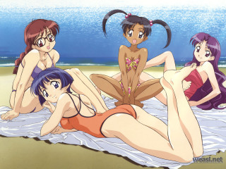 Beach girls towel ocean bikini - top of a beach next free wallpaper