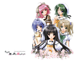 Anime girls cat sailor uniforms - their lap free wallpaper