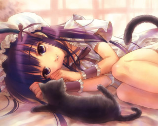 Girl cat lying anime gothic - anime art free wallpaper for desktop