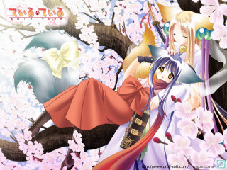 Anime fox girls hanami kimono - furry art free wallpaper