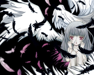 White hair red eyes black 3 - overhead free wallpaper