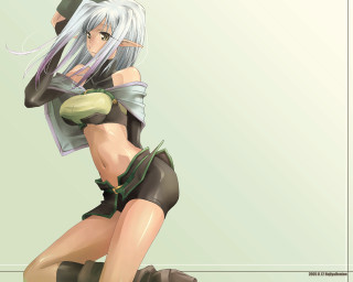 Fantasy elf woman armor silver - anime free wallpaper