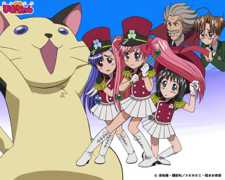 Anime group cat rococo album - a cat and a cat free wallpaper