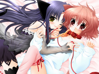 Anime girls hugging cat ears - free valentines wallpaper