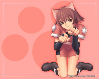 Ayako rokkaku anime girl cat 2 - a cat ear free wallpaper