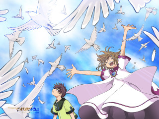 Flying man woman birds angel - free bird wallpaper