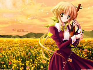 Woman field violin autumn anime - a violin free wallpaper
