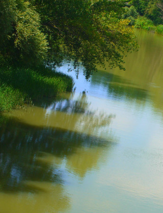 River boat tree grass forest - tonalism free wallpaper