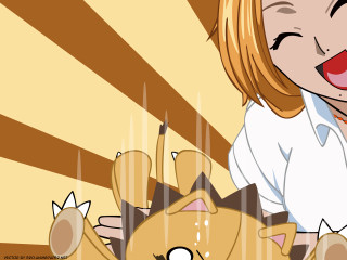 Woman cat table lap ground - a cat and a cat free wallpaper